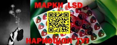 МДПВ Камышлов