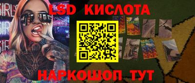 МДПВ Камышлов