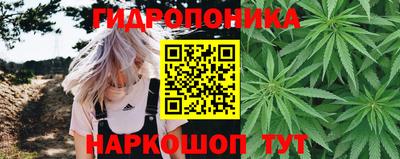 каннабис Кандалакша