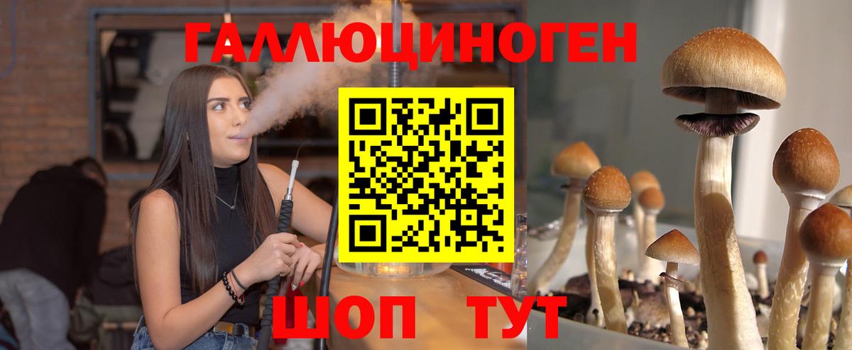 Ленинск-Кузнецкий  Галлюциногенные грибы Psilocybe  Галлюциногенные грибы Psilocybe  Вход с VPN 